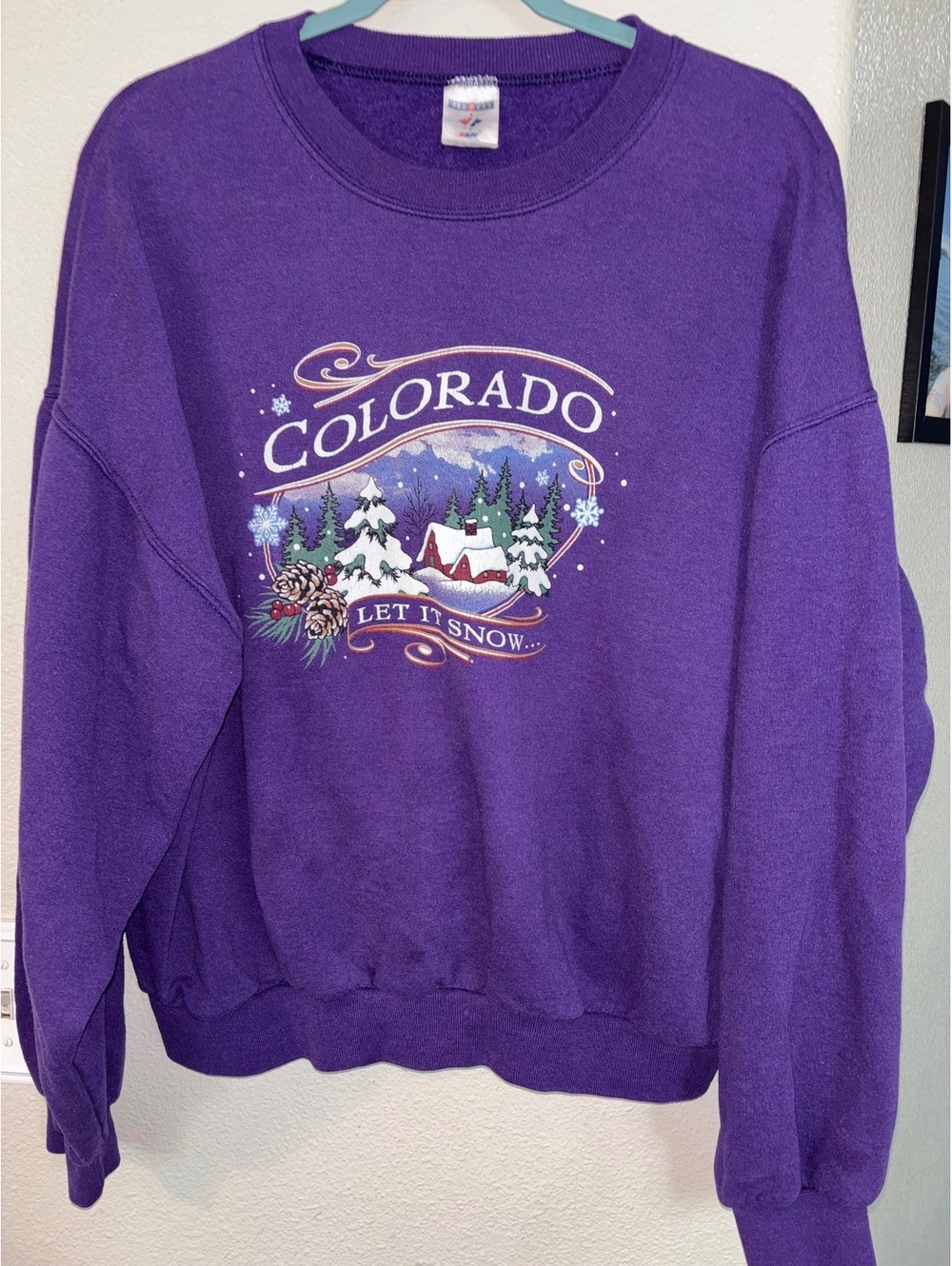 Vintage 90s Jerzees NuBlend Colorado Let It Snow Purple Crewneck Sweatshirt XL